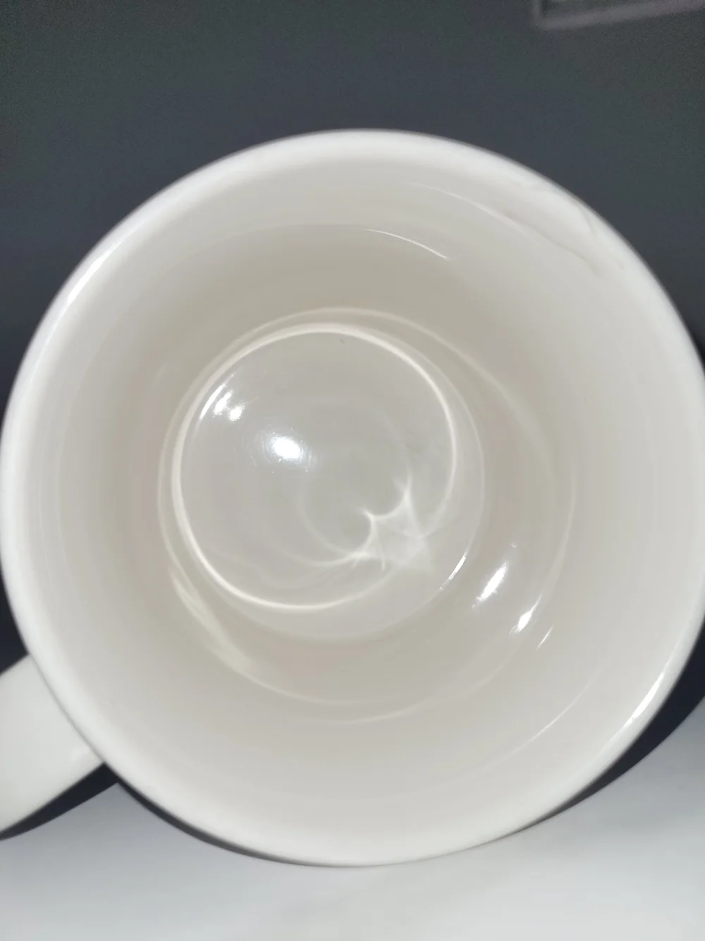 White Ceramic Mug with Duck Goose Friends Are Forever Design